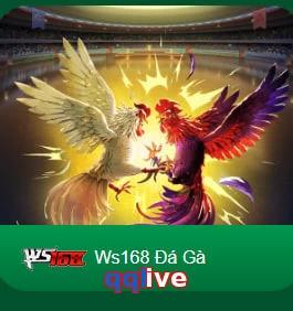 qqlive